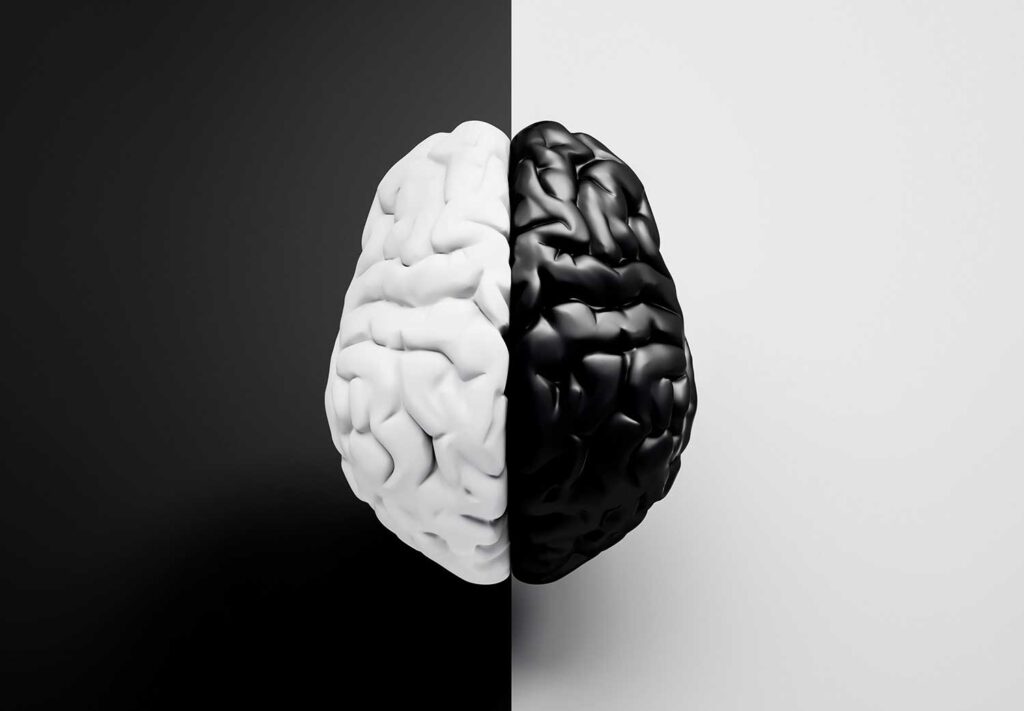 Bipolaridad Brain
